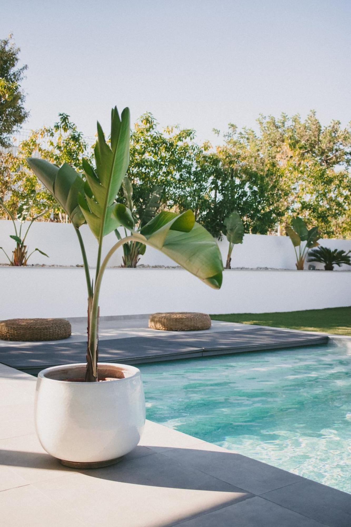 Casa Lnnoa Boutique Room Whit Private Pool Lagos Extérieur photo